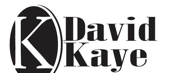 David Kaye Attorney at Law